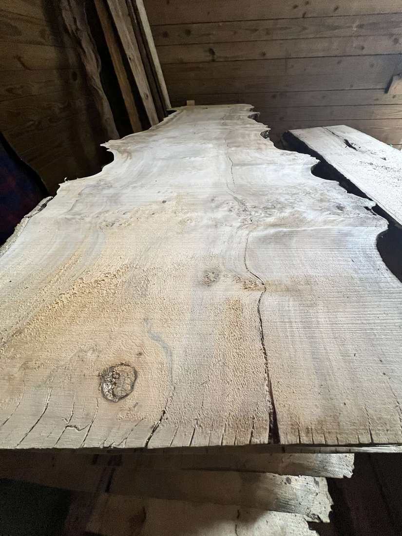 Freshly milled live-edge oak slab
