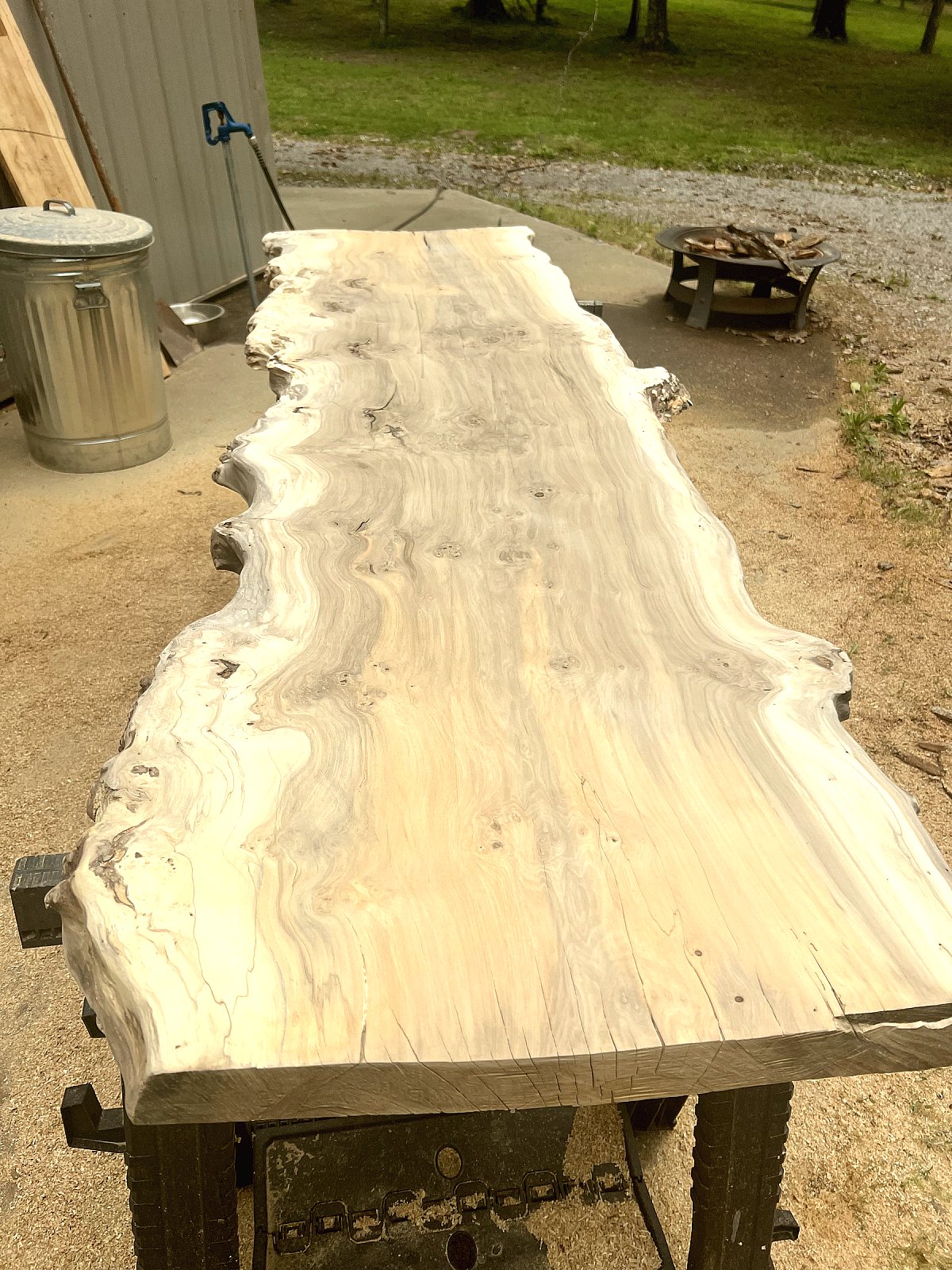Live-edge oak slab prepared and ready for finishing