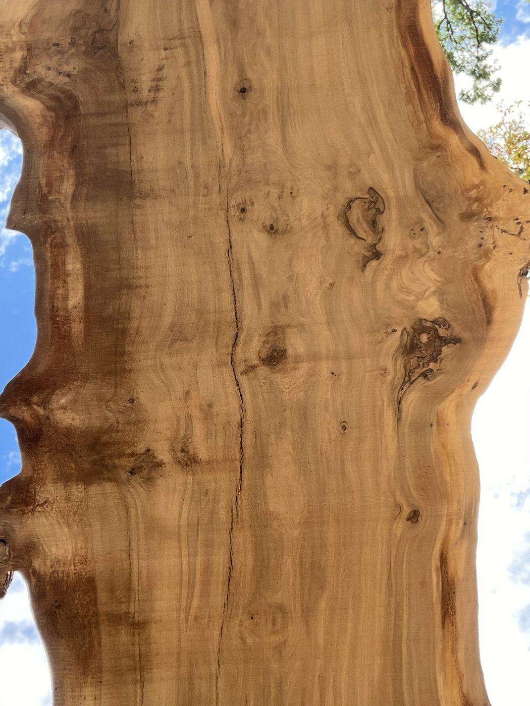 Live-edge profile — Live Edge Oak Co