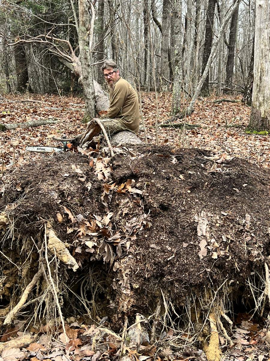 Root & character — Live Edge Oak Co