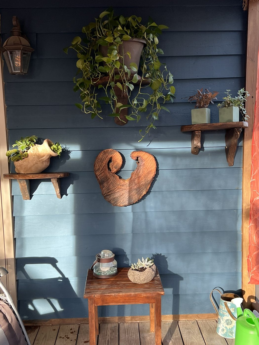 Burl wall art — Live Edge Oak Co