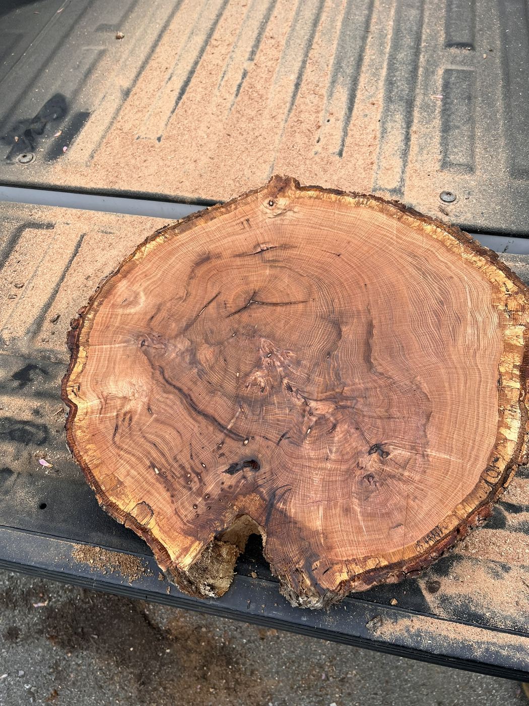 Cookie slab — Live Edge Oak Co