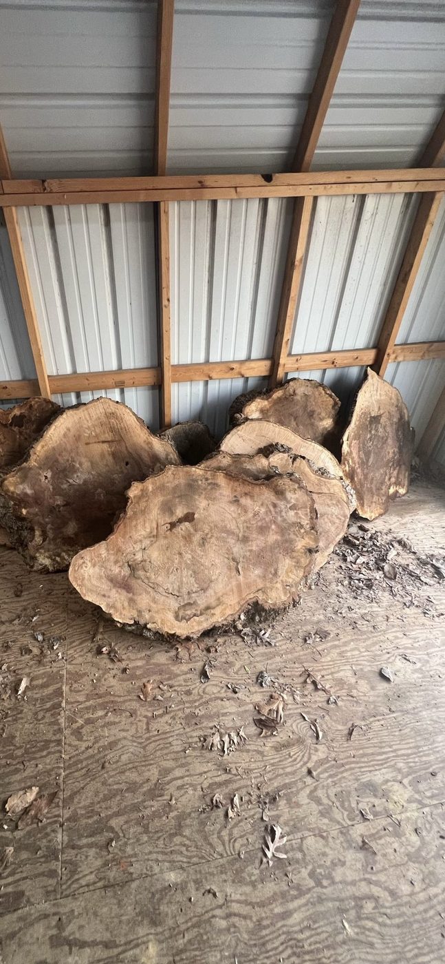 Burls & blanks — Live Edge Oak Co