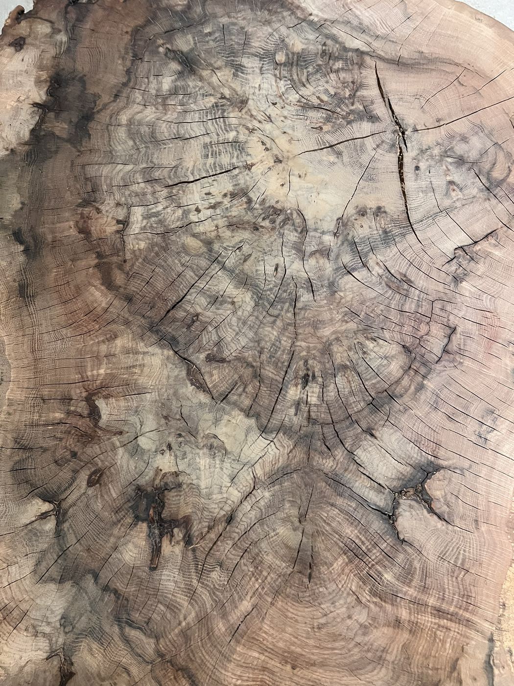 Spalted pattern — Live Edge Oak Co