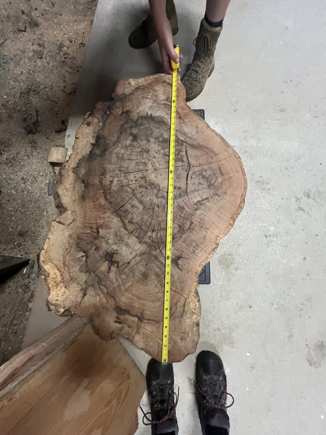 Measuring the blank — Live Edge Oak Co