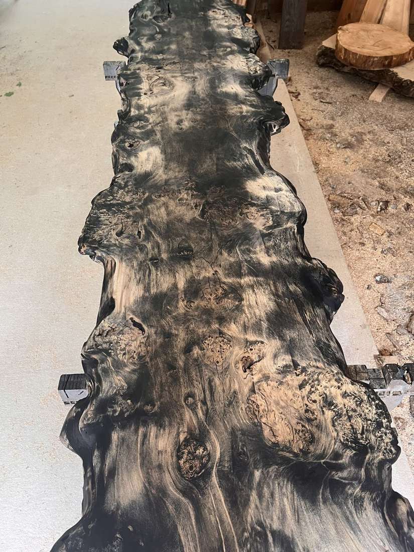 Silhouette of the slab — Live Edge Oak Co