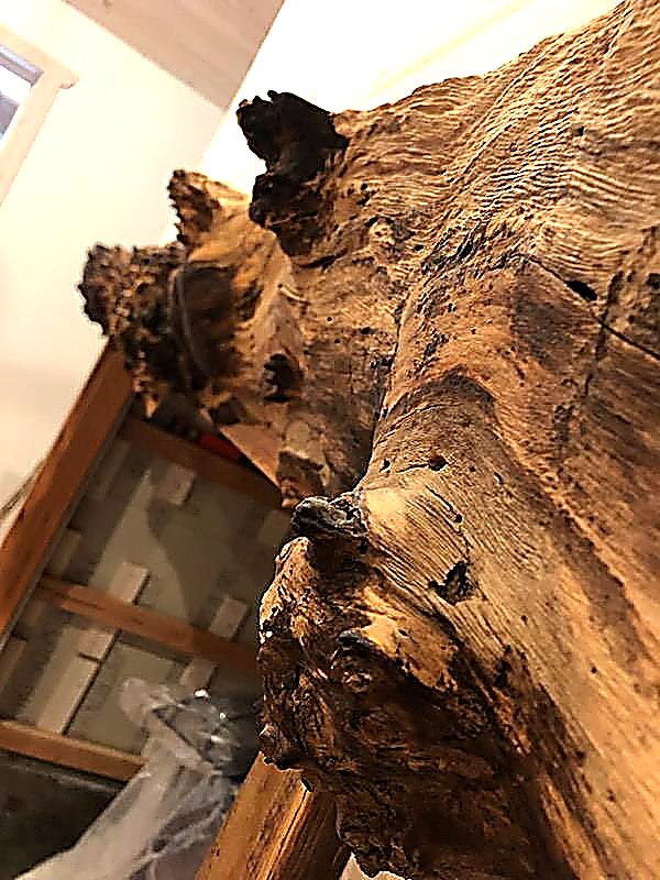 Warm grain close-up on live-edge oak — Live Edge Oak Co