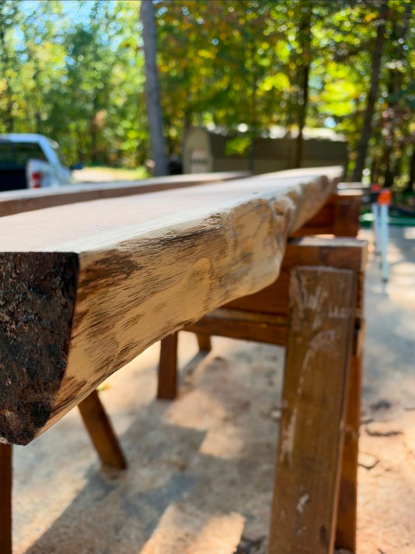 Live-edge red oak mantel in progress, sanded and resting on sawhorses — Live Edge Oak Co